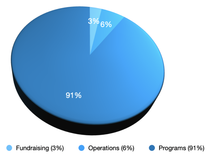 Is it Non-Profit or Nonprofit?” - The Borgen Project